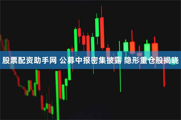 股票配资助手网 公募中报密集披露 隐形重仓股揭晓